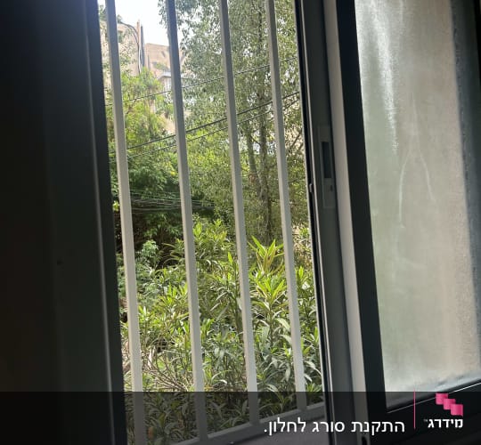 חלון פתוח עם סורגים ונוף של צמחייה בחוץ